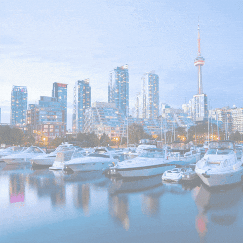 canadavisauk giphyupload best canada tourist visa GIF