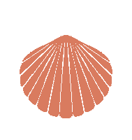 Seashell Sticker by Mountainside Fitness