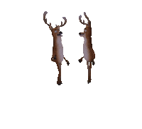 Knockout Christmas Sticker by Mindshow