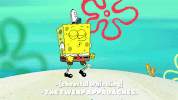 season 9 episode 6 GIF by SpongeBob SquarePants