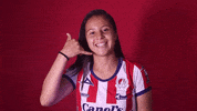 Sanluis Adsl GIF by Atlético de San Luis