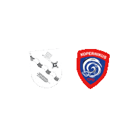 Stammkopernikus youth scout bremen SCOUTS Sticker