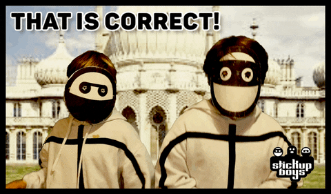 Brighton You Are Correct GIF by Stick Up Music