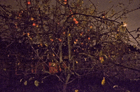 of a 3d GIF by hateplow