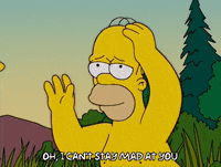 homer simpson GIF