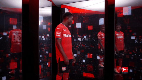 Leverkusen B04 GIF by Bundesliga