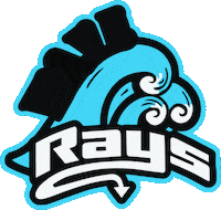 Tampa Rays Wave Sticker by The Stingray Allstars Tampa