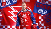 Hockeytown GIF by HC Dynamo Pardubice