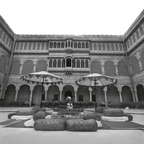 Dog India GIF by Suryagarh Collection