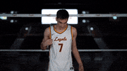 Loyola Chicago Sport GIF by LoyolaRamblers
