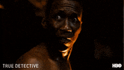 GIF by True Detective