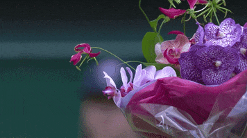flowers GIF by Wimbledon