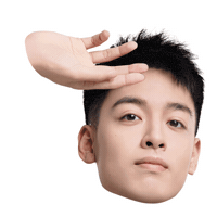 Fw Flashwolves Sticker