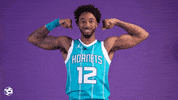 Basketball Nba GIF by Charlotte Hornets