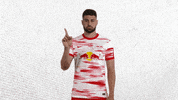 Not In My House No GIF by RB Leipzig