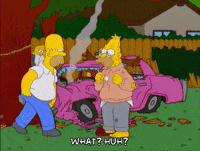 homer simpson episode 13 GIF