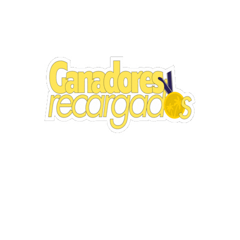 Medallistasdecameron Sticker by Decameron Hotels