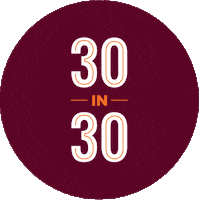 Go Team Support Sticker by Susquehanna University