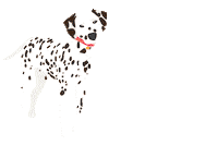 Dog Sticker by KONG Company