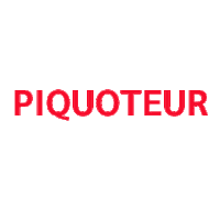 Piquoti new instagram tiktok facebook Sticker
