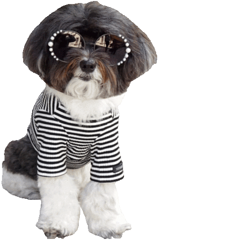 Dog Fashion Sticker