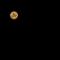 giesingerbraeu bier bayern prost craft beer GIF