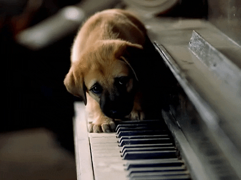 Big Boi Piano GIF by Outkast