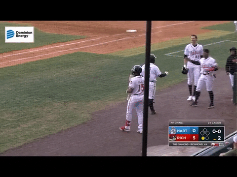 GIF by Richmond Flying Squirrels