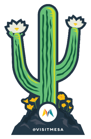 Desert Cactus Sticker by Visit Mesa