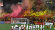 GIF by TD Más