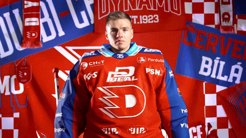 Will GIF by HC Dynamo Pardubice