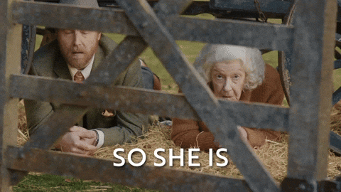 Watching Channel 5 GIF by All Creatures Great And Small