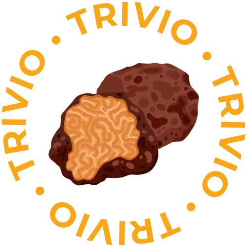 TrivioGrupo giphyupload food comida caviar Sticker