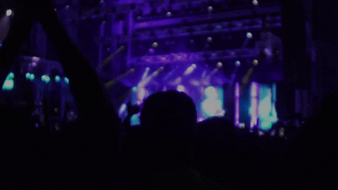 hatinasmuzick giphygifmaker GIF