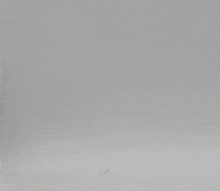 Blue Whale Swimming GIF by TeaCosyFolk