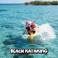 Beach Ocean GIF by LobsterClaus