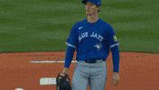 Get Hyped Blue Jays GIF by Toronto Blue Jays
