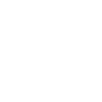 sulamitapereira_ flower doodle sulamitapo Sticker