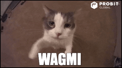 Crypto GIF by ProBit Global