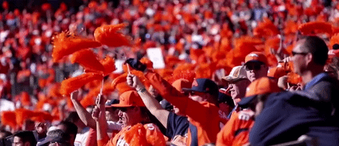 Denver Broncos Football GIF by Broncos