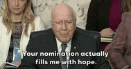 Supreme Court Confirmation Hearing GIF by GIPHY News