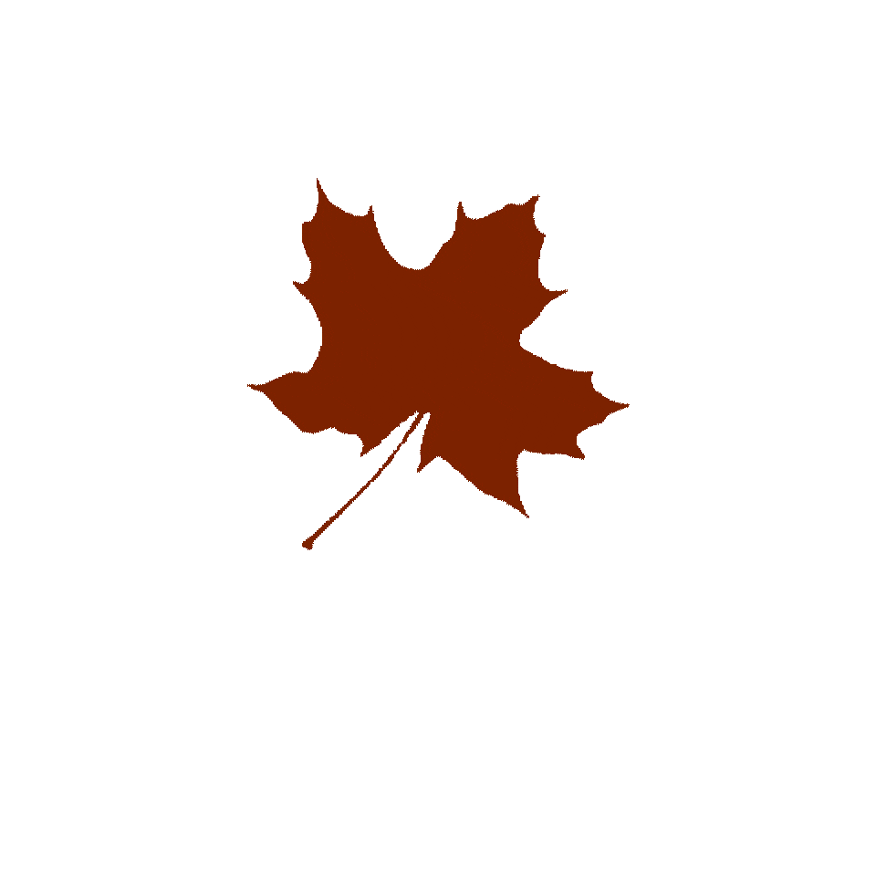 Thanksgiving Sticker by WCSU