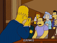 homer simpson GIF
