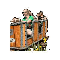 Rollercoaster Themepark Sticker by Gumbuya World