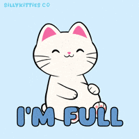 Cute Cat Im Full GIF by Silly Kitties