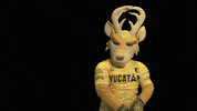 GIF by Venados FC