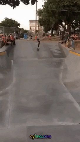 miledmidou giphygifmaker GIF