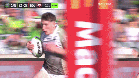 Nrl GIF by Canberra Raiders