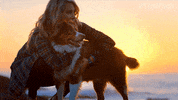 The Pack Dogs GIF by Amazon Prime Video