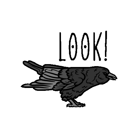 GiftsFromCrows giphygifmaker Sticker